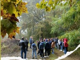 DISCOVERING THE FOREST